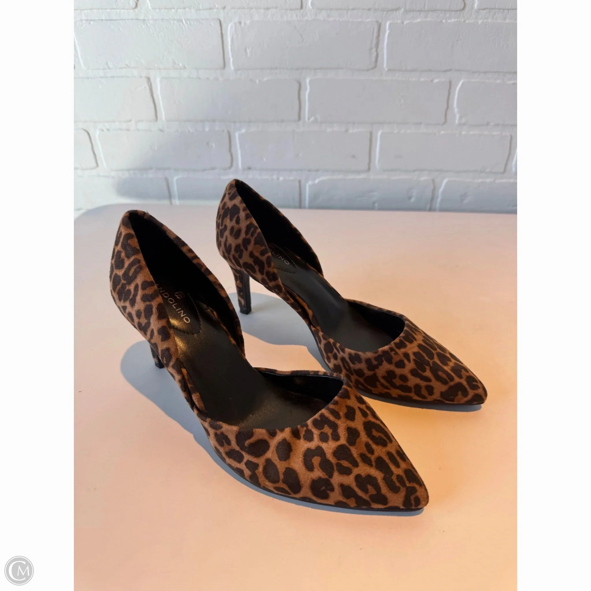 Shoes Heels Stiletto By Bandolino In Animal Print, Size: 6.5