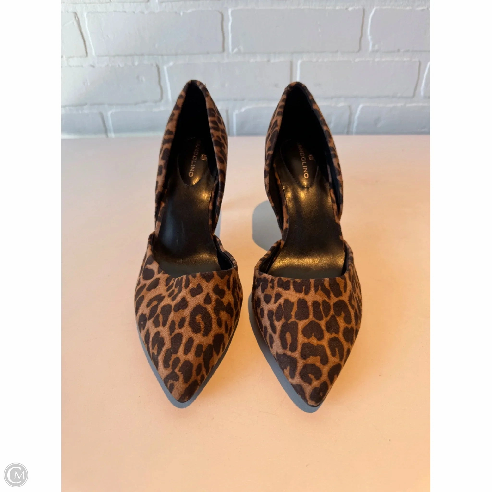 Shoes Heels Stiletto By Bandolino In Animal Print, Size: 6.5